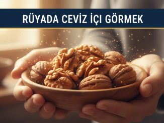 "Rüyada Ceviz İçi Görmek"