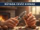 "Rüyada Ceviz Kırmak"