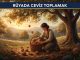 "Rüyada Ceviz Toplamak"