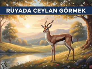 "Rüyada Ceylan Görmek"
