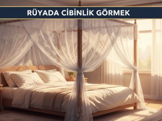 "Rüyada Cibinlik Görmek"