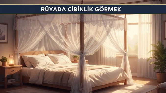 "Rüyada Cibinlik Görmek"