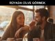 "Rüyada Cilve Görmek"