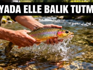 "Rüyada Elle Balık Tutmak"