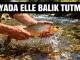 "Rüyada Elle Balık Tutmak"