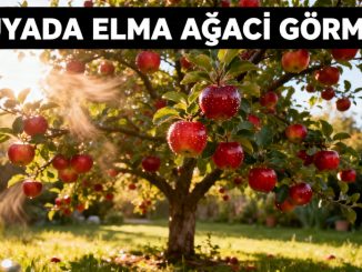 "Rüyada Elma Ağacı Görmek"