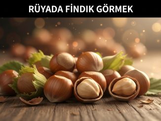 "Rüyada Fındık Görmek"