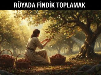 "Rüyada Fındık Toplamak"