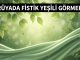 "Rüyada Fıstık Yeşili Görmek"