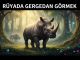 "Rüyada Gergedan Görmek"