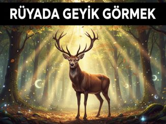 "Rüyada Geyik Görmek"