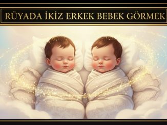 "Rüyada İkiz Erkek Bebek Görmek"