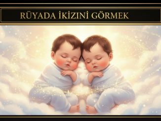 "Rüyada İkizini Görmek"