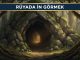 "Rüyada İn Görmek"