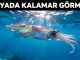 "Rüyada Kalamar Görmek"