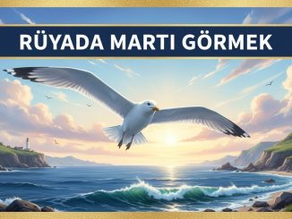 "Rüyada Martı Görmek"