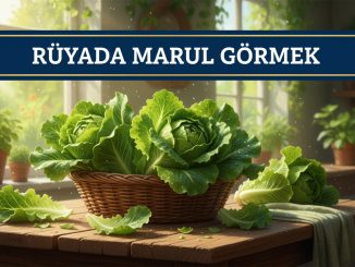 "Rüyada Marul Görmek"