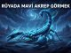 "Rüyada Mavi Akrep Görmek"