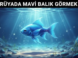 "Rüyada Mavi Balık Görmek"