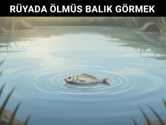 "Rüyada Ölmüş Balık Görmek"