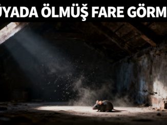 "Rüyada Ölmüş Fare Görmek"