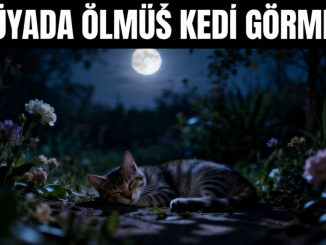 "Rüyada Ölmüş Kedi Görmek"
