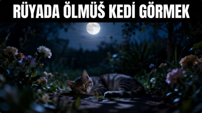 "Rüyada Ölmüş Kedi Görmek"