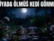 "Rüyada Ölmüş Kedi Görmek"