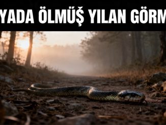 "Rüyada Ölmüş Yılan Görmek"