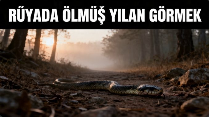 "Rüyada Ölmüş Yılan Görmek"