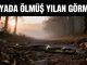 "Rüyada Ölmüş Yılan Görmek"