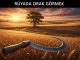 "Rüyada Orak Görmek"