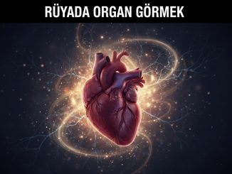 "Rüyada Organ Görmek"