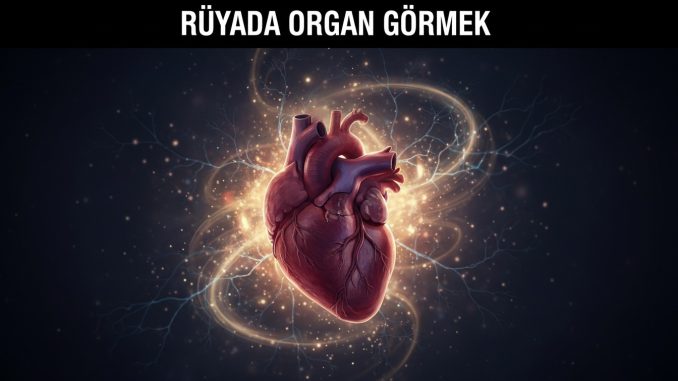 "Rüyada Organ Görmek"