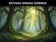 "Rüyada Orman Görmek"