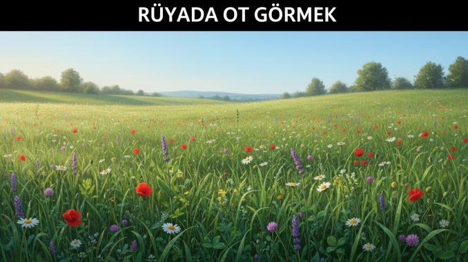 "Rüyada Ot Görmek"