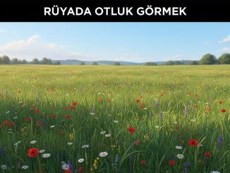 "Rüyada Otluk Görmek"