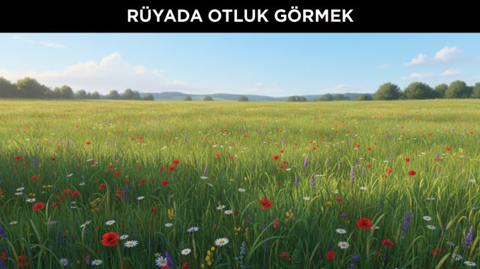 "Rüyada Otluk Görmek"