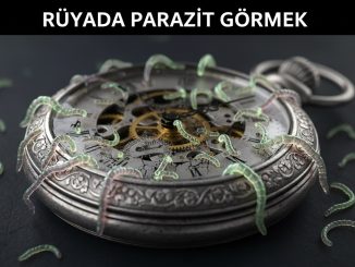 "Rüyada Parazit Görmek"