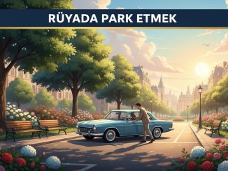 "Rüyada Park Etmek"