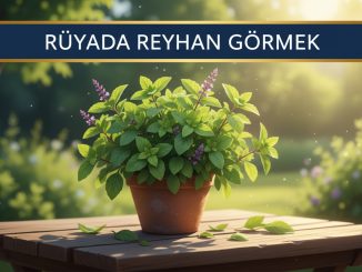 "Rüyada Reyhan Görmek"