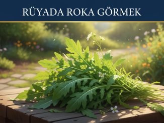 "Rüyada Roka Görmek"