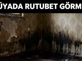 "Rüyada Rutubet Görmek"