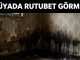 "Rüyada Rutubet Görmek"