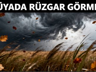 "Rüyada Rüzgar Görmek"