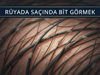 "Rüyada Saçında Bit Görmek"