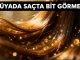 "Rüyada Saçta Bit Görmek"