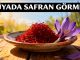 "Rüyada Safran Görmek"
