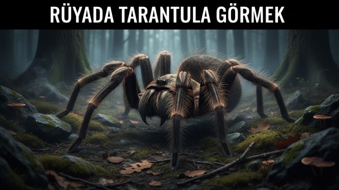 "Rüyada Tarantula Görmek"