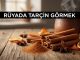 "Rüyada Tarçın Görmek"